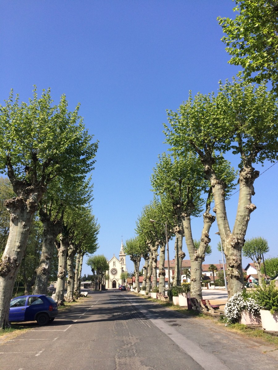 De Tarnos à Bayonne via Boucau (64-40)