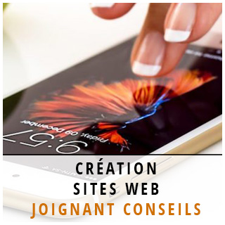 Création site web Joignant Conseils