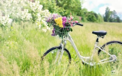 2022 chez Pistes Cyclables