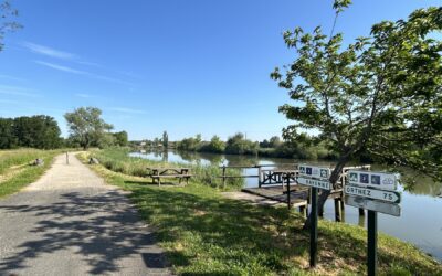 Aller retour de Urt à Came, au bord de l’eau, des barthes, des champs (64)