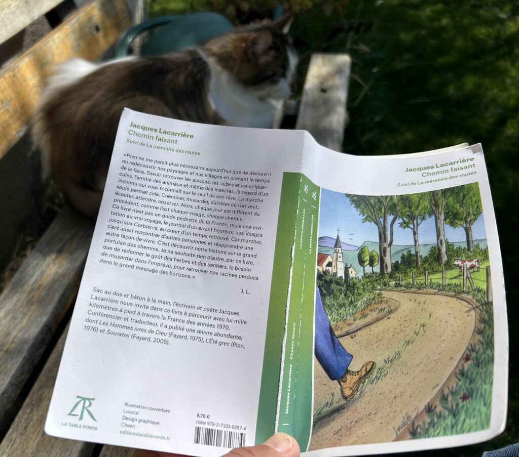 Couverture d’ouvrage : Chemin faisant suivi de La Mémoire des routes