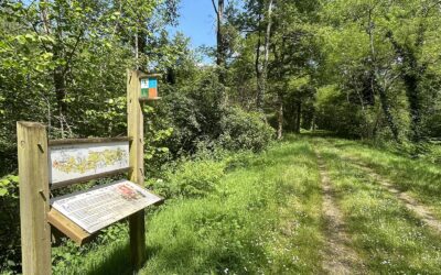 Plan de la voie verte du Marsan et de l’Armagnac (40)