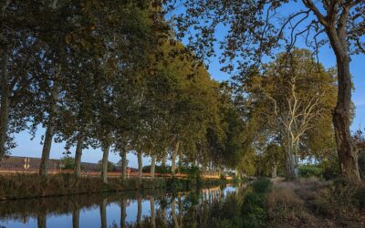 Le Canal du Midi à vélo : un grand itinéraire français qui reste d’abord une véloroute à bien préparer