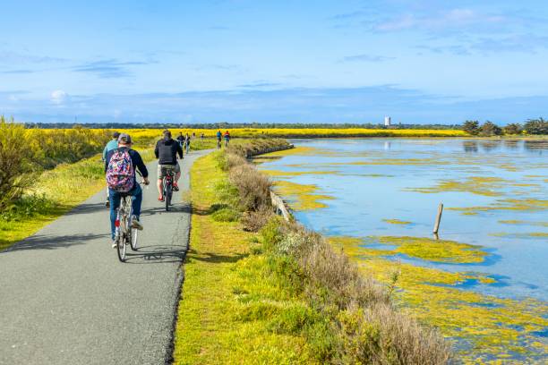 location vélos île de ré balade visite
