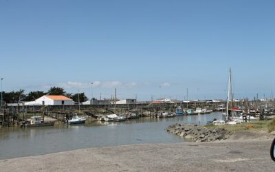 Entre La Barre-de-Monts et Beauvoir-sur-Mer