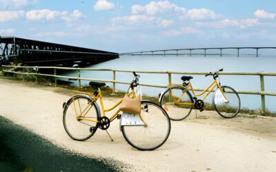 À La Rochelle, le Vieux-Port change de logique pour tenter de réduire les conflits entre piétons et cyclistes
