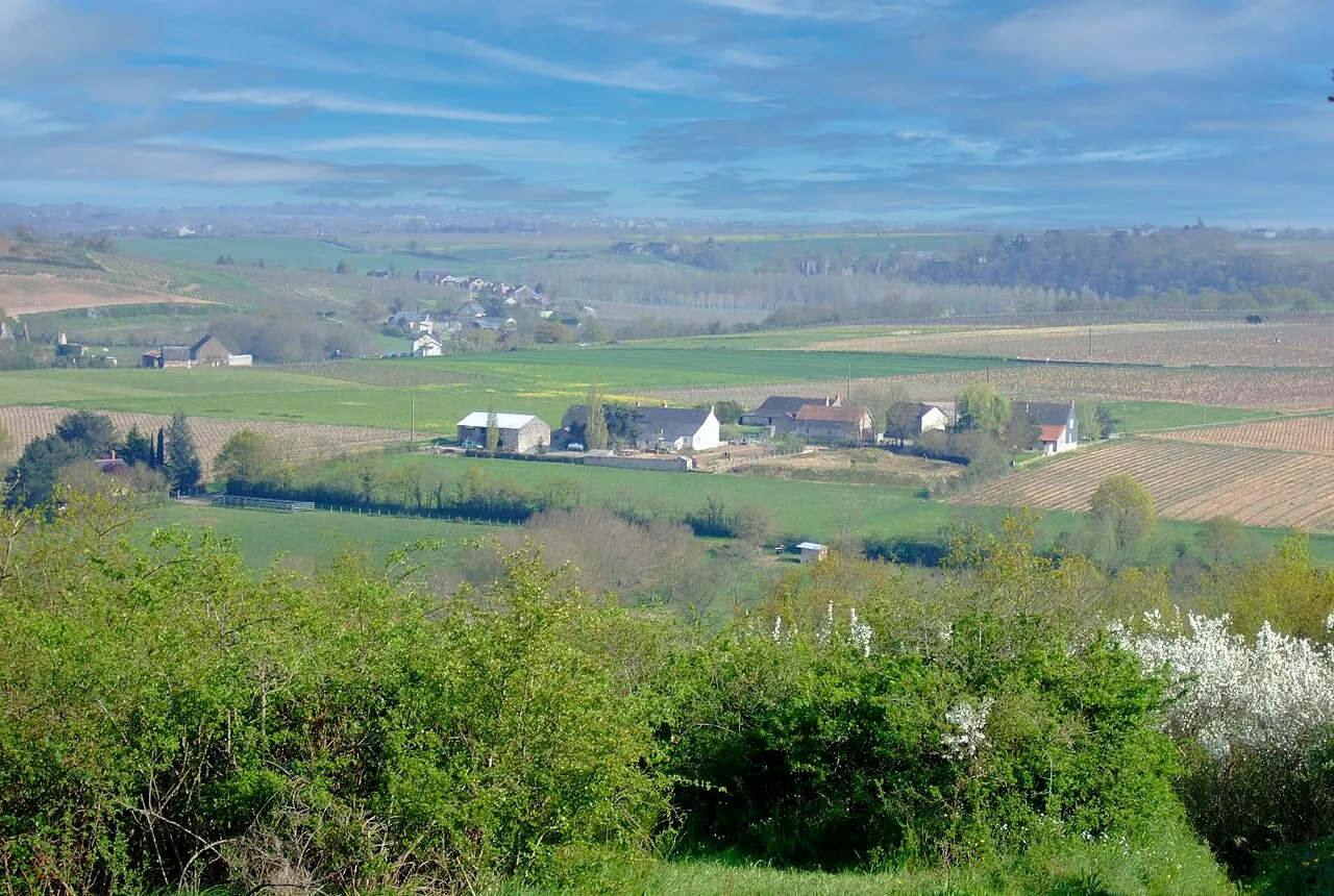 Vignobles du Layon et de l&rsquo;Aubance