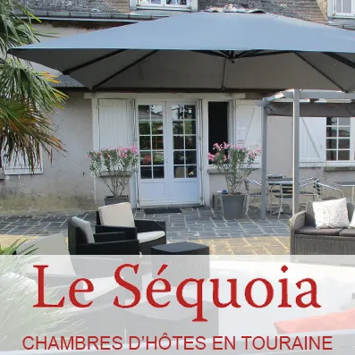 le Sequoia